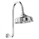 Fienza Lilian Goosenek Wall Arm and Rose - Chrome